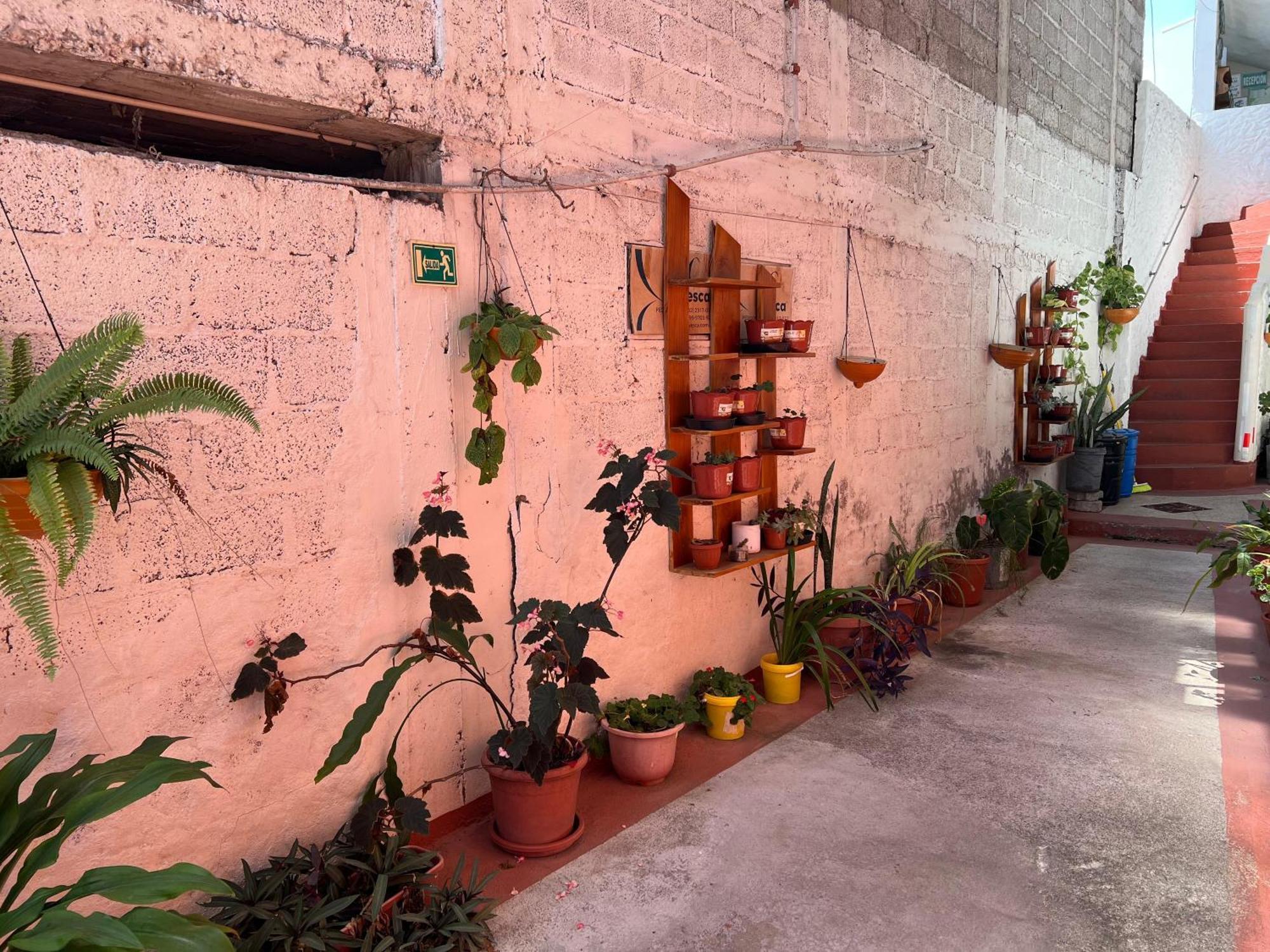 Hostal Cattleya Puerto Baquerizo Moreno Zewnętrze zdjęcie