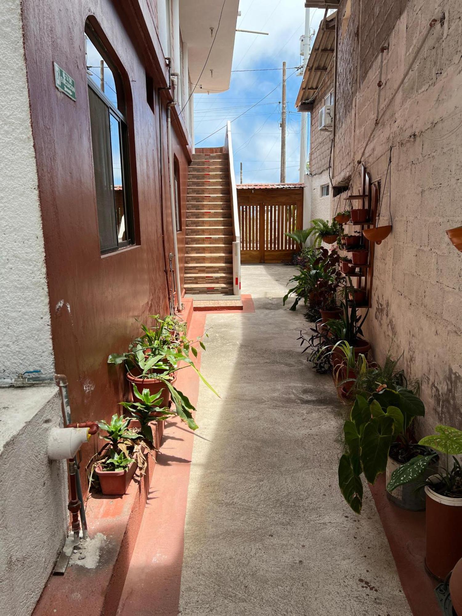 Hostal Cattleya Puerto Baquerizo Moreno Zewnętrze zdjęcie