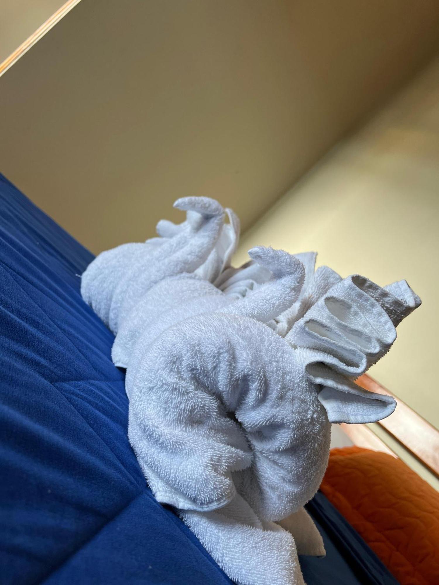 Hostal Cattleya Puerto Baquerizo Moreno Zewnętrze zdjęcie