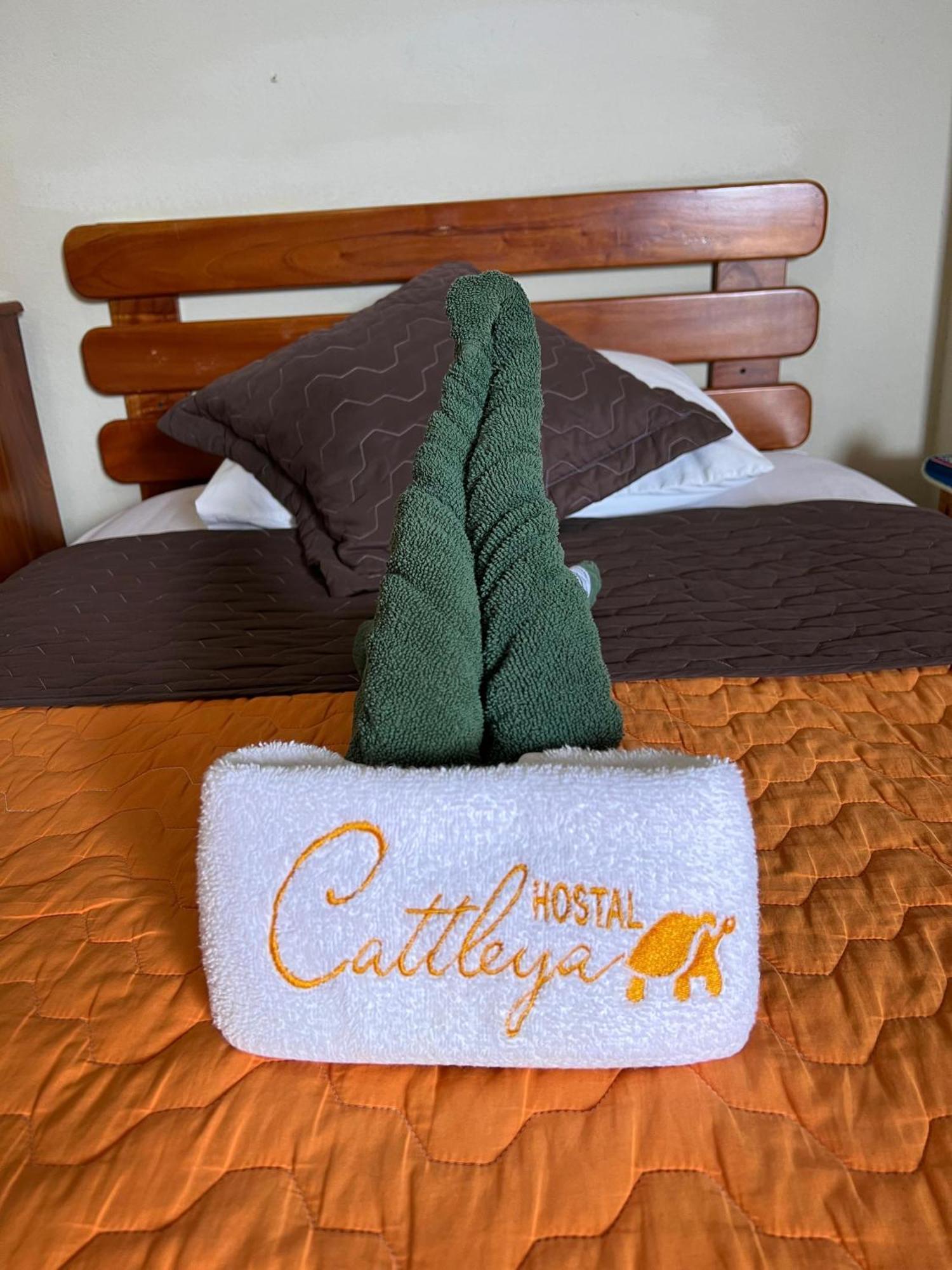 Hostal Cattleya Puerto Baquerizo Moreno Zewnętrze zdjęcie